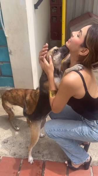 fundación